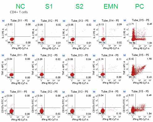 ICS를 이용한 항원 특이 T-림프구 아형의 기능성 측정법