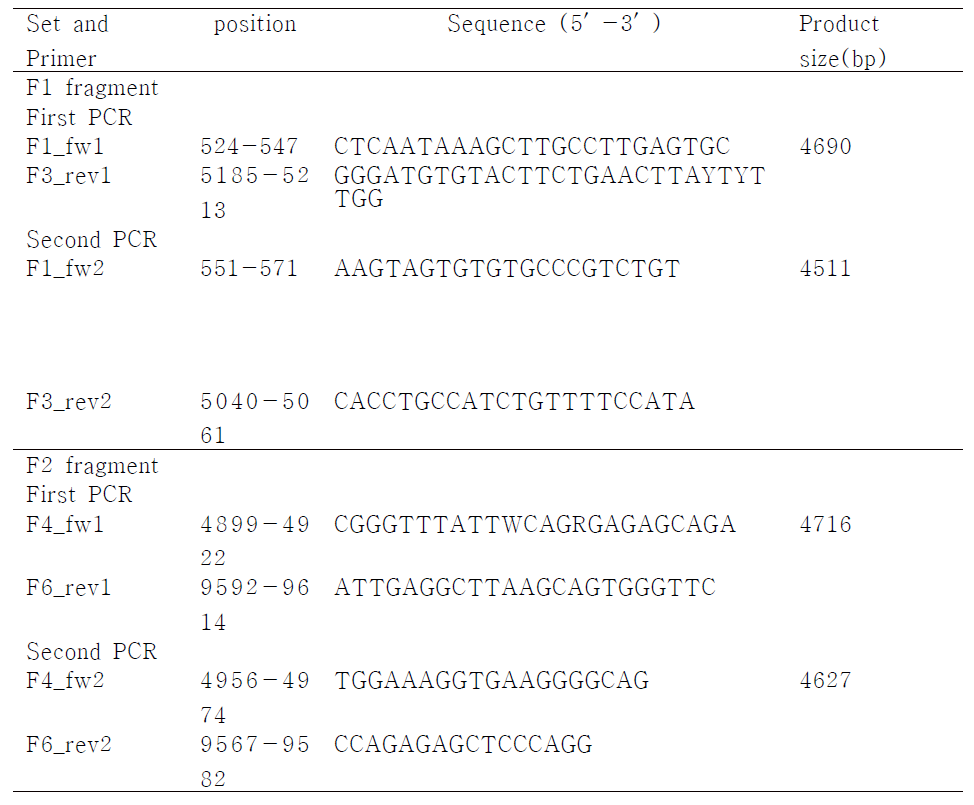 Primers used in this study