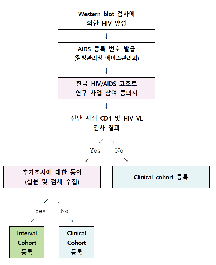 연구 대상자 선정 과정