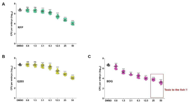 M. marinum 감염된 제브라피쉬는 각 약물 농도 (0.8, 1.5, 3.1, 6.2, 12.5, 25 그리고 50 μM)에 맞게 처리되었으며, 그에 따른 생존 곡선을 13일 동안 추적 비교하였다. (A) rifampicin, (B) Q203, (C) bedaquiline (≈200 CFU, n=20, three replicates)