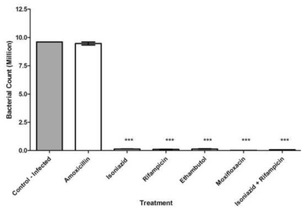 in vivo efficacy :　항결핵제 치료 후 제브라피쉬 내 M. marinum 수 측정