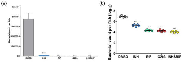 성체 제브라피쉬가 M. marinum 근육 감염 후 7일째(7 dpi)로 (n = 5) DMSO를 처리한 대조군과 약물을 처리한 실험군 내의 균 수를 CFU 정량법을 통해 측정하였다. 감염된 제브라피쉬 내부의 균수를 계산하고(a), log10 값으로 변환하였다(b). DMSO를 처리한 대조군과 약물을 처리한 그룹의 상대차이(***p < 0.001)는 GraphPad Prism Software version 6.0를 사용하여 one-way ANOVA를 통해 분석하였다