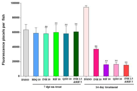 성체 제브라피쉬 TdTomato-M. marinum 복강 감염 후 7일째(7 dpi)로 약물을 처리하지 않았을 때와, 약물을 처리한 후 14일째 되었을 때 각 그룹(Mean ± S.E.M., n = 5)의 FPC를 그래프로 나타내었다. 상대 차이(ONE WAY ANOVA, ***P < 0.0001)는 GraphPad Prism Software version 6.0를 사용하여 one-way ANOVA로 분석하였다