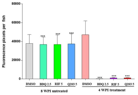 성체 제브라피쉬 (n = 5)에 TdTomato-M. marinum 근육 감염 후 8주후 약물을 30일동안 약물을 처리하지 않았을 때와 30일동안 약물처리 후 제브라피쉬 내 형광 픽셀(Fluorescent pixels count, FPC)을 ImageJ software를 통해 계산하였다.상대 차이(ONE WAY ANOVA, ***P < 0.0001)는 GraphPad Prism Software version 6.0를 사용하여 one-way ANOVA로 분석하였다