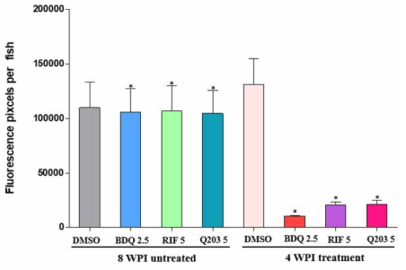 성체 제브라피쉬 (n = 5)에 TdTomato-M. marinum 복강 감염 후 8주후약물을 30일동안 약물을 처리하지 않았을 때와 30일동안 약물처리 후 제브라피쉬 내부 형광량을 FPC를 그래프로 나타내었다. 상대 차이(ONE WAY ANOVA, ***P < 0.0001)는 GraphPad Prism Software version 6.0를 사용하여 one-way ANOVA로 분석하였다