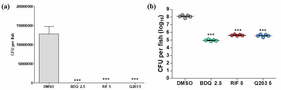 성체 제브라피쉬 (n = 5)에 M. marinum 복강 감염 후 8주후 약물을 30일동안 약물을 처리하지 않았을 때와 30일동안 약물처리 후 각각의 제브라피쉬 실험군 내의 균 수를 CFU정량법을 통해 측정하였다. 감염된 제브라피쉬 내부의 균 수를 계산하고(a), log10 값으로 변환하였다(b). DMSO를 처리한 대조군과 약물을 처리한 그룹의 상대차이(***p < 0.001)는 GraphPad Prism Software version 6.0를 사용하여 one-way ANOVA를 통해 분석하였다