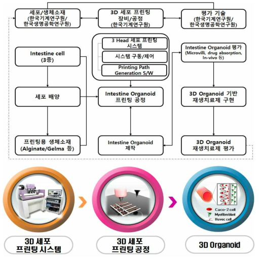 3D 세포 프린팅 추진 전략