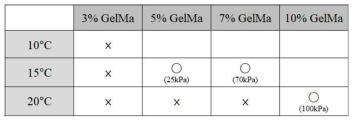 GelMA 바이오잉크 농도별 도관형태 프린팅 조건