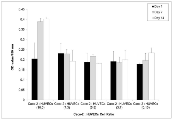 Caco-2 : HUVECs 비율에 따른 CCK-8 Assay 결과 (Day-1, 7, 14)