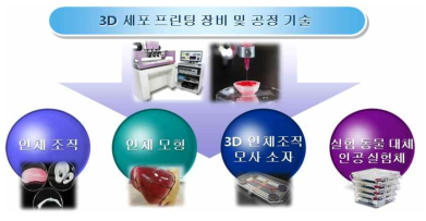 3D 세포 프린팅 기술 활용 분야