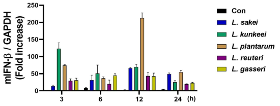 5종의 Lactobacillus 사균체 처리 후 시간에 따른 mIFN-β의 유전자 발현량