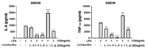 5종의 Lactobacillus 사균체 처리 후 LPS에 의한 cytokine 생성 억제능
