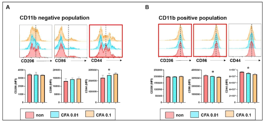 CFA처리에 의한 CD11b+ 및 CD11b- population의 활성화 마커 발현분석