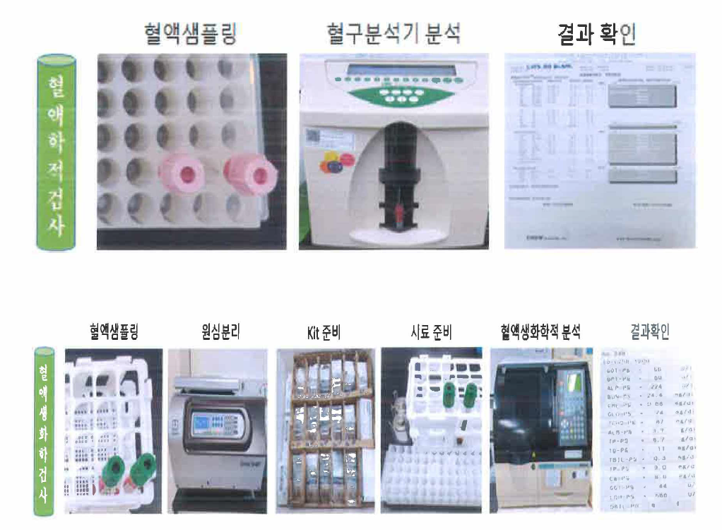 영장류 후보개채에 대한 혈액학적/혈액생화학적 검사 진행 과정