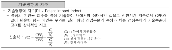 기술영향력 지수(PII : Patent Impact Index)