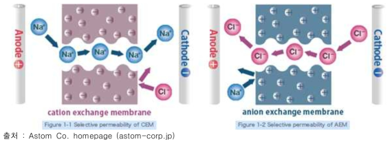양이온교환막과 음이온교환막의 구조 및 이온의 투과도