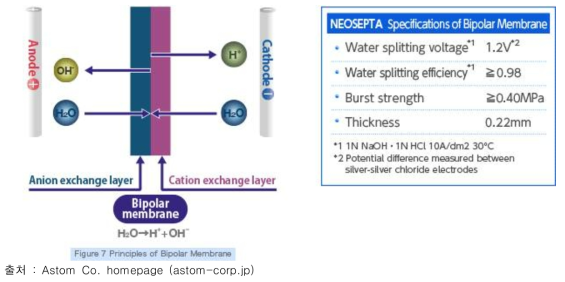 양이온과 음이온교환막이 결합된 바이폴라막의 구조와 물 분해 반응 기작