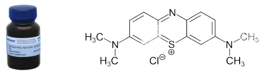Methylene Blue 용액 및 화학분자식
