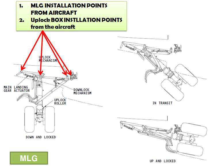 MLG PINTLE POINTS