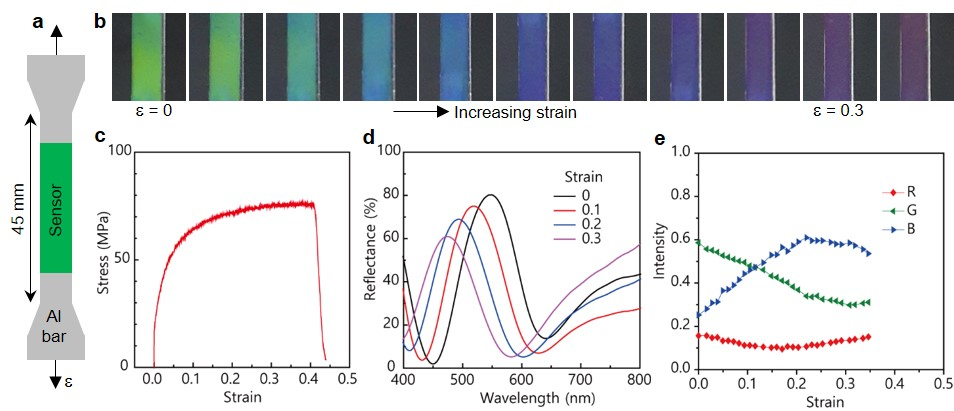 센서(d = 320 nm)를 Al 시편에 부착하여 얻은 실험 결과 a: 시편의 크기 및 형상, b: 스마트폰으로 촬영한 센서의 색 변화, c: 시편의 stress-strain curve, d: 시편의 변형에 따른 센서 반사스펙트럼의 변화, e: 센서 색의 R, G, B 성분의 변화