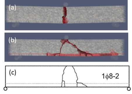 3점 하중 시험 파단면 비교 결과 ((a)무근, (b)RC (시뮬레이션), (c)실험 결과(Carpinteri et al., 2011))