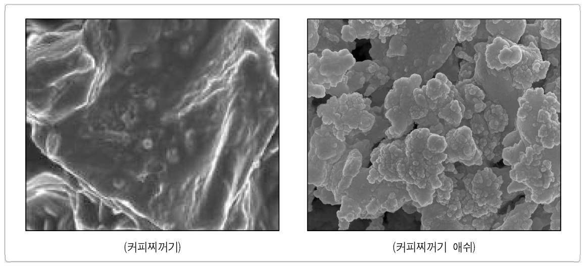 커피찌꺼기와 커피찌꺼기 애쉬의 SEM 사진 비교