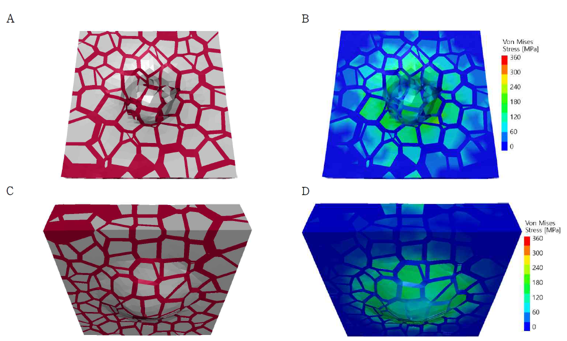 자연모사 시편의 파괴 시점 수치해석 관측 결과. (A) 충격 패턴(상단면), (B) 폰 미세스(Von Mises) 응력 분포(하단면), (C) 충격 패턴(하단면) 그리고 (D) 폰 미세스 응력 분포(하단면)