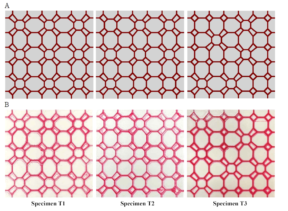 시편 정보: (A) 변형 결과 그리고 (B) 3D 프린터로 출력된 결과
