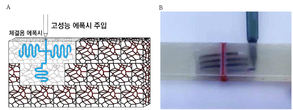 (A) 적층된 건설용 모듈 블럭과 유동성 경화제를 이용한 체결 구조 그리고 (B) 채널에 에폭시 수지 주입