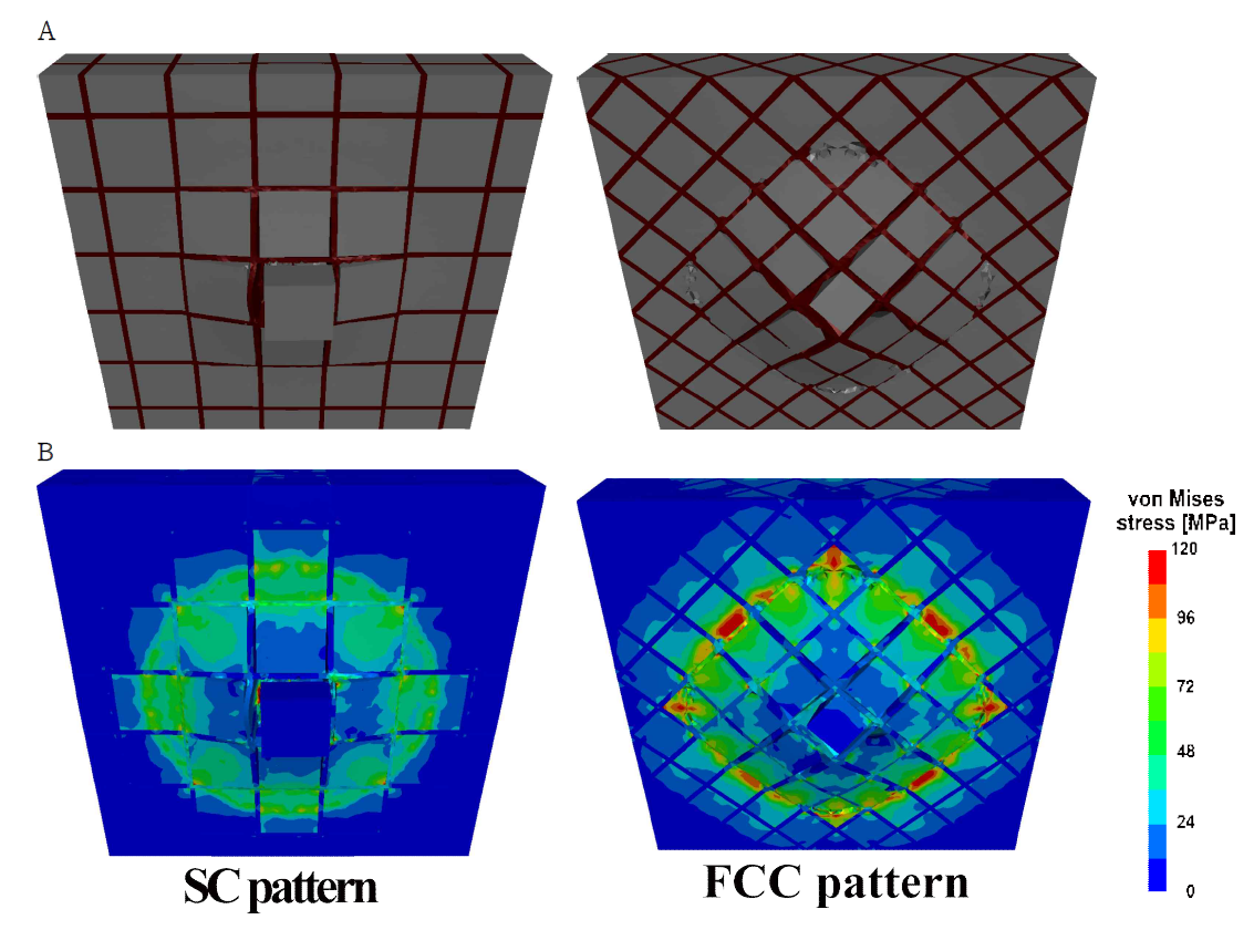 다양한 격자 모델의 파괴 형상 수치해석 관측 결과: (A) 데미지 패턴 그리고 (B) 본 미세스(von Mises) 응력 분포