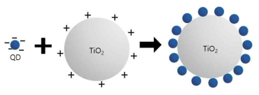 정전기적 인력을 이용한 TiO2(+전하)와 QD(-전하)의 흡착 모식도