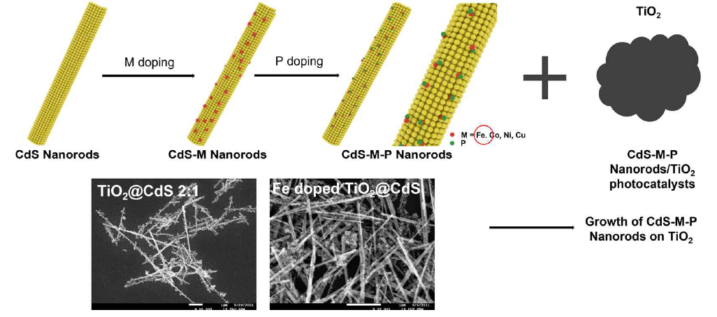 CdS-TiO2 및 Fe doped CdS-TiO2 광촉매 합성 모식도 및 주사전자현미경 이미지