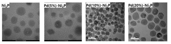 Pd 도핑비율에 따른 Ni2P 나노입자의 TEM 이미지