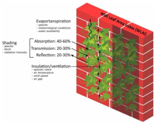 수직 정원의 구조와 기능(Koch et al., 2020)