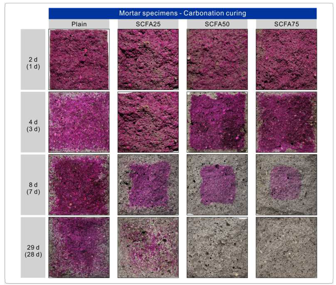 탄산화 양생에 모르타르 시험체의 탄산화