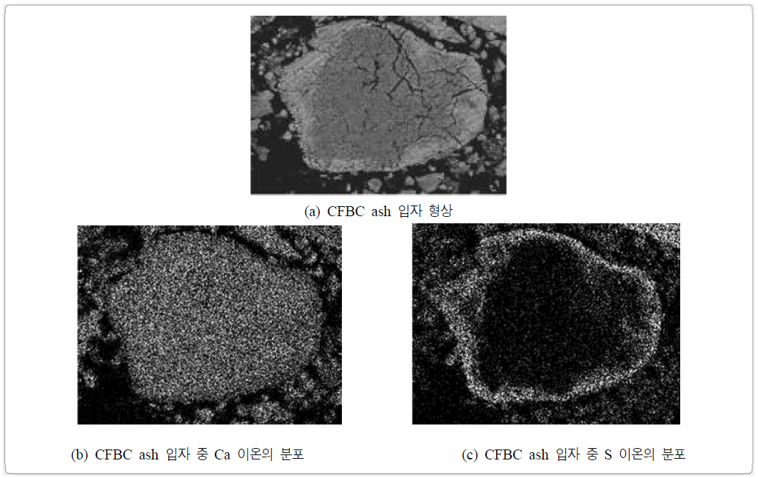 CFBC ash 입자의 이온분포