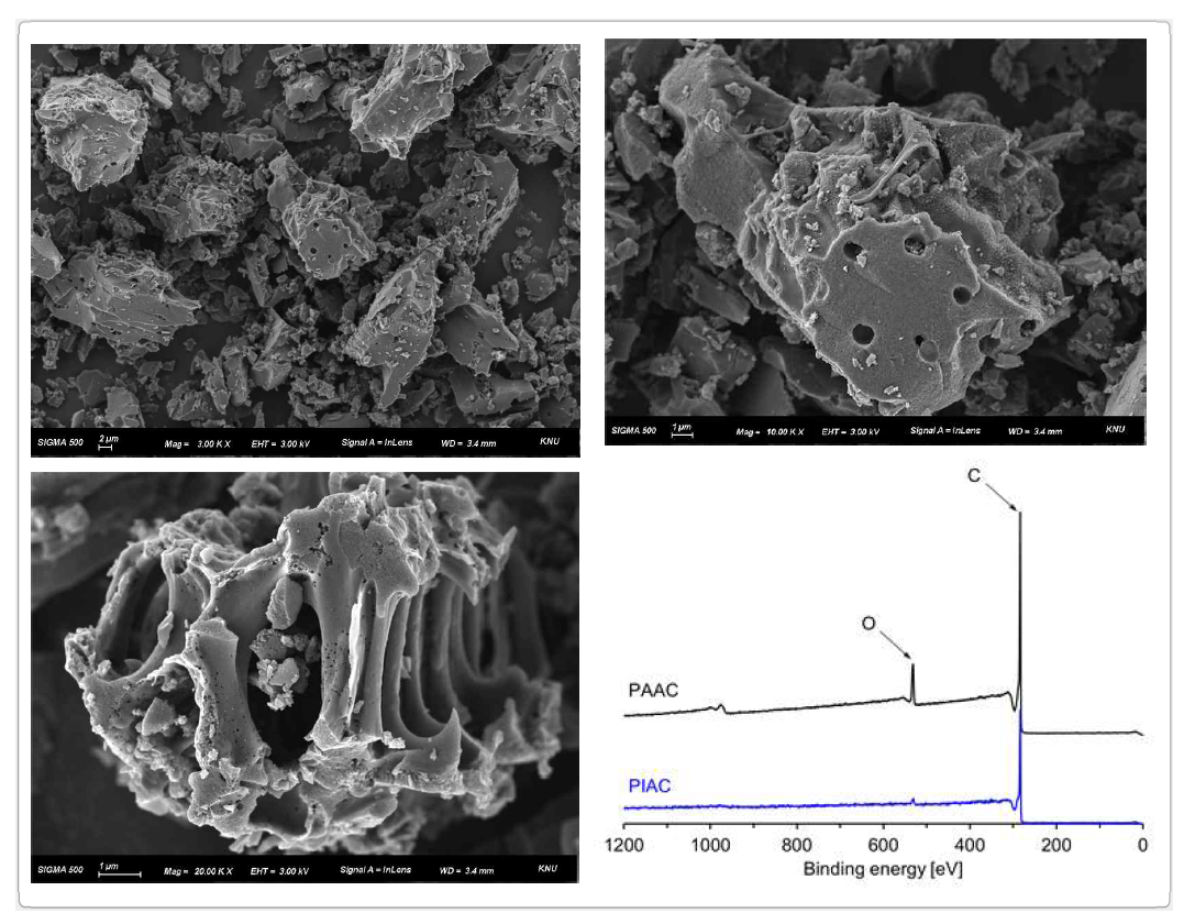 활성탄소의 SEM 이미지 및 XPS 분석결과