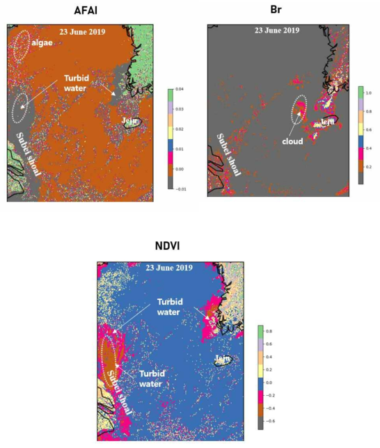 Scientific Index 기반 classification (algae, turbid water, cloud) map