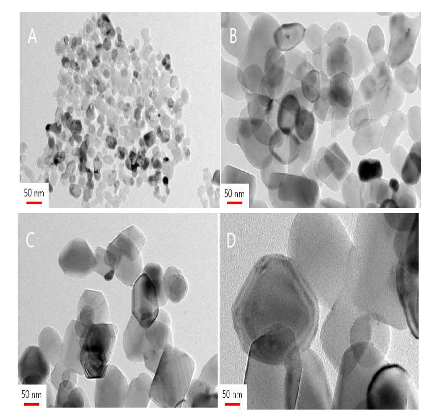 하소 온도별 마그네시아의 Transmission electron microscopy images (A : 700 ℃, B : 800 ℃, C : 900 ℃, D : 1000 ℃)