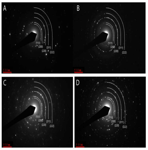 하소 온도별 마그네시아의 Selected area electron diffraction patterns (A : 700 ℃, B : 800 ℃, C : 900 ℃, D : 1000 ℃)