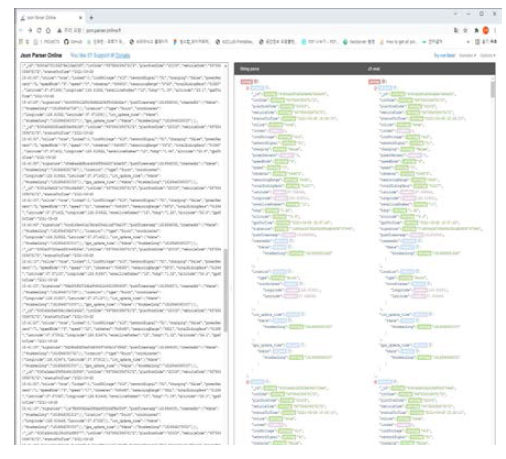 json 파일의 유효성 검증 화면