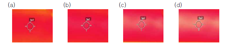 포장도로 DB: (a) 26.6℃; (b) 34.0℃; (c) 34.9℃; (d) 49.3℃