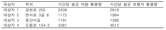 대상지 통행량 조사