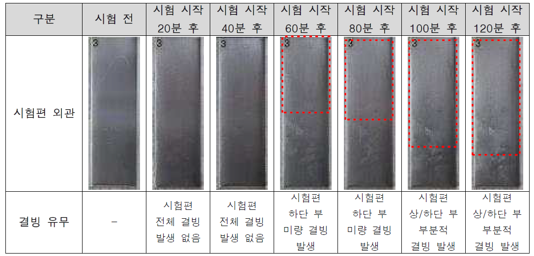 De(Anti)-icing fluid 개선 시제품 방빙 내구성 시험 결과 [De(Anti)-icing fluid 도포 시편]