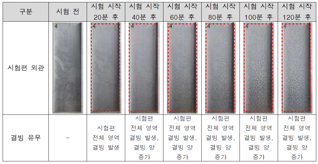 De(Anti)-icing fluid 개선 시제품 방빙 내구성 시험 결과 [De(Anti)-icing fluid 미도포 시편]