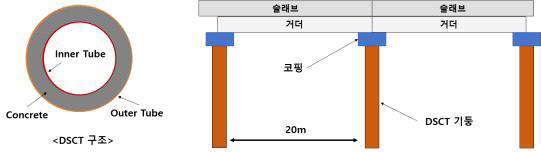 DSCT 구조와 신형식 잔교의 평면구성안