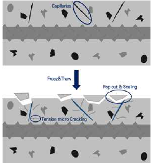 동결융해로 인한 콘크리트 동해 매커니즘