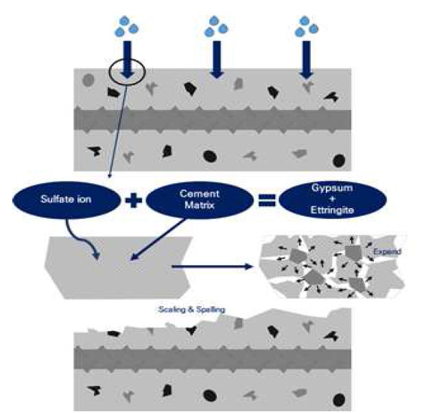 황산염에 의한 콘크리트 열화 매커니즘