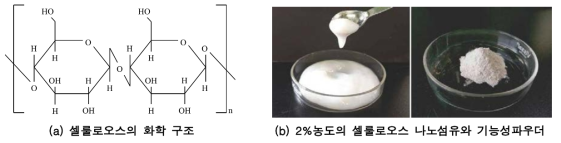 셀룰로오스 화학 구조 및 사진