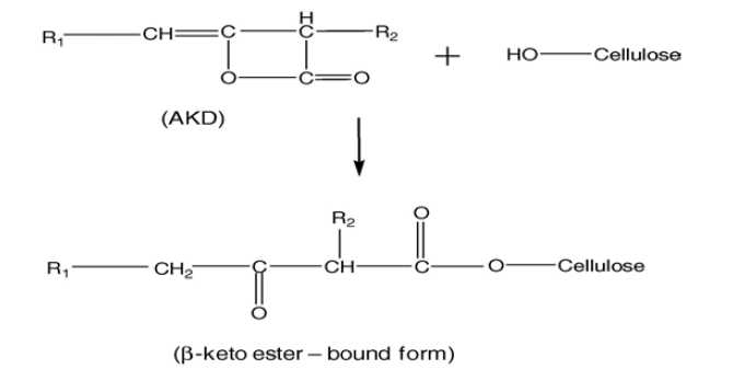 셀룰로오스 나노섬유와 AKD의 β-keto ester 형성 화학구조